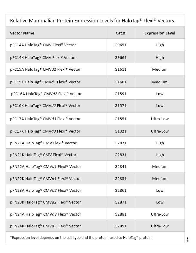 Relative mammalian protein expression levels for HaloTag Flexi Vectors.