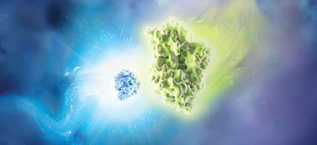 nanoluc-luciferase