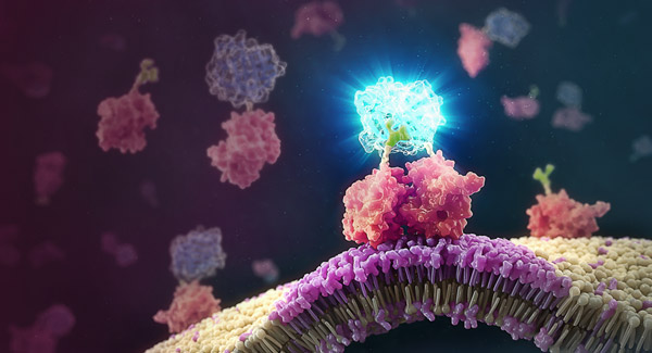 cell-health-screening-apoptosis-annexin-v