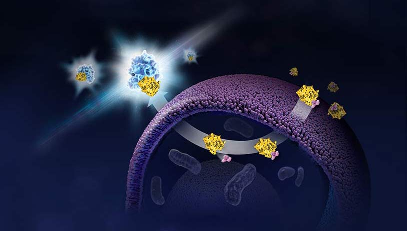 cell-viability-and-cytotoxicity-tile