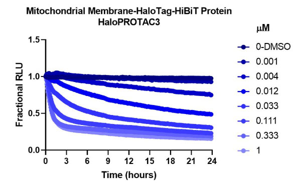halopotac3-degradation-a-03