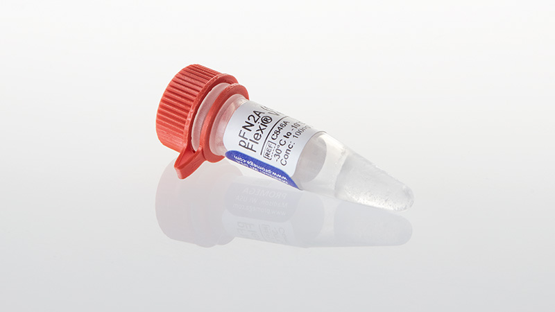 C8461_pFN2A--GST--Flexi--Vector--20ug_3