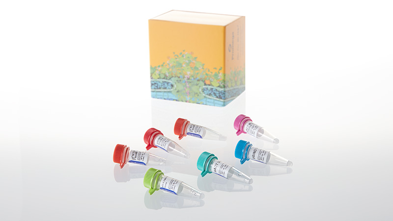 C9360_CheckMate--3aFlexi--Vector-Mammalian_3