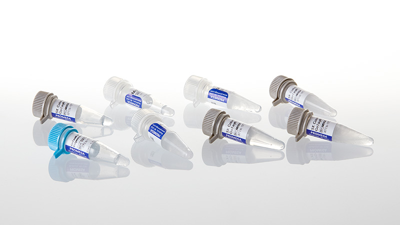 d4101-gotaq-mdx-polymerase-glycerol-free-500u