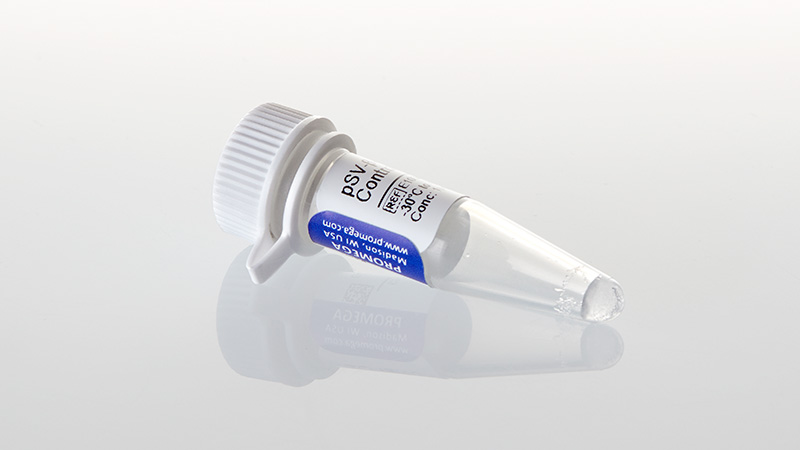 E1081_pSV-B-Gal-Control--20ug_3