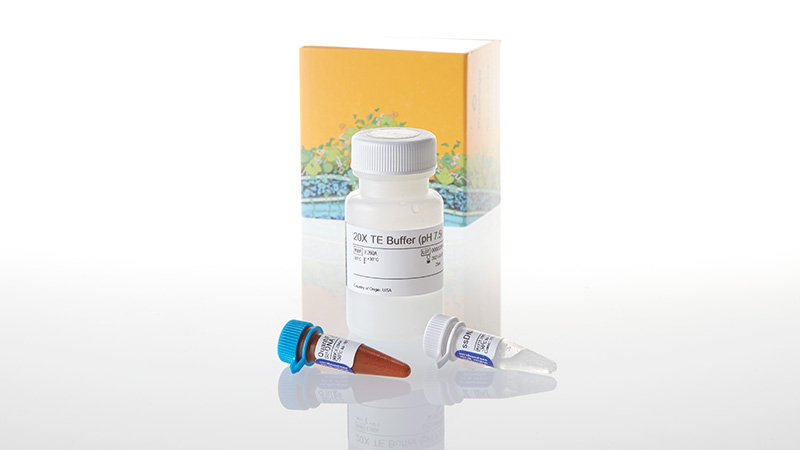 E3190_QuantiFluor--ssDNA-System_3