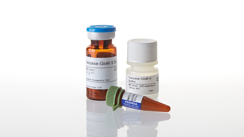 G8210_Caspase-Glo--9-Assay--2-5ml_3