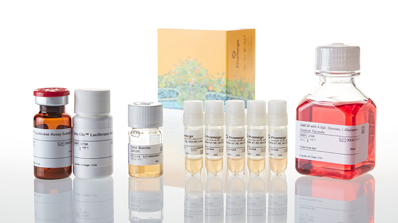 GA2005_VEGF-Reporter-Bioassay--5X_3