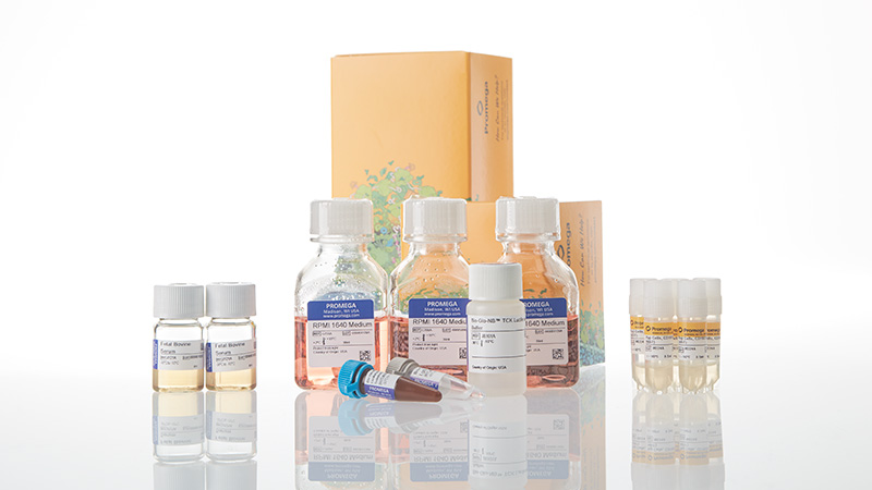 ja1275-raji-ht-hibit-cd19-20-ko-tck-bioassay-5x