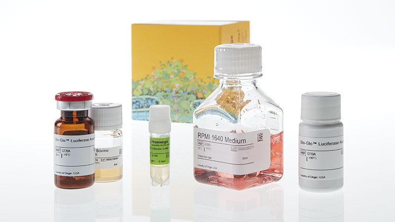 JA2291_GITR-Bioassay_3