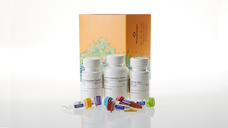 je9400-bcaa-glo-assay-50-ml