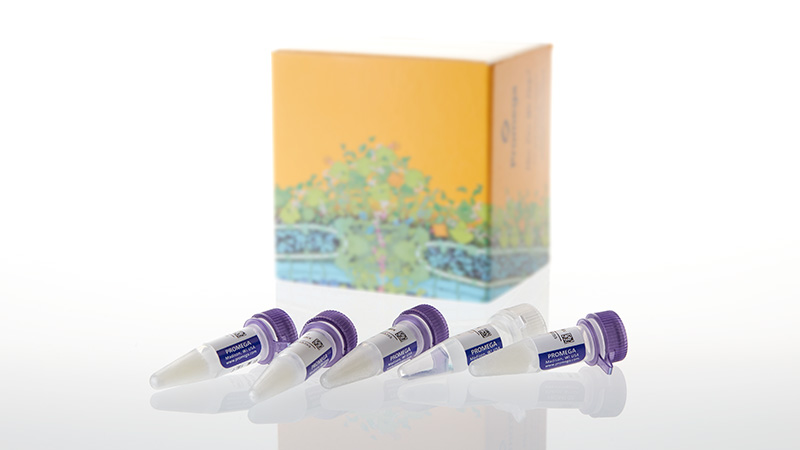 L3260_TnT SP6 High-Yield Wheat Germ Protein Expression System-40rxn_3