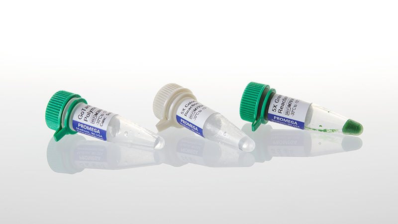M3001_GoTaq--DNA-Polymerase--100u_3