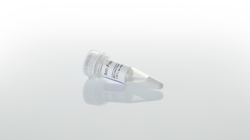 Anti-Foam Reagent 300µl