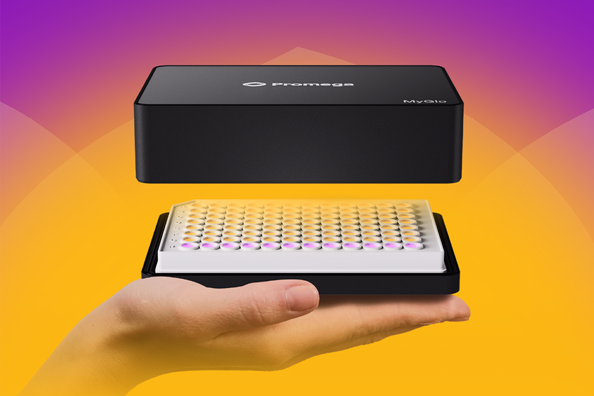 mg1010-myglo-2026-01