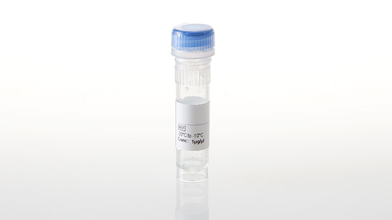 NV3511_MAPK14-T106M--NanoLuc- Fusion Vector- 20ug