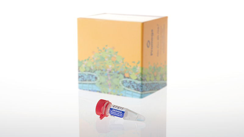 V5285_AccuMAP-Modified Trypsin Solution