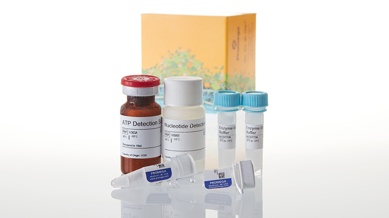 V6962_UDP-Glo-Glycosyltransferase