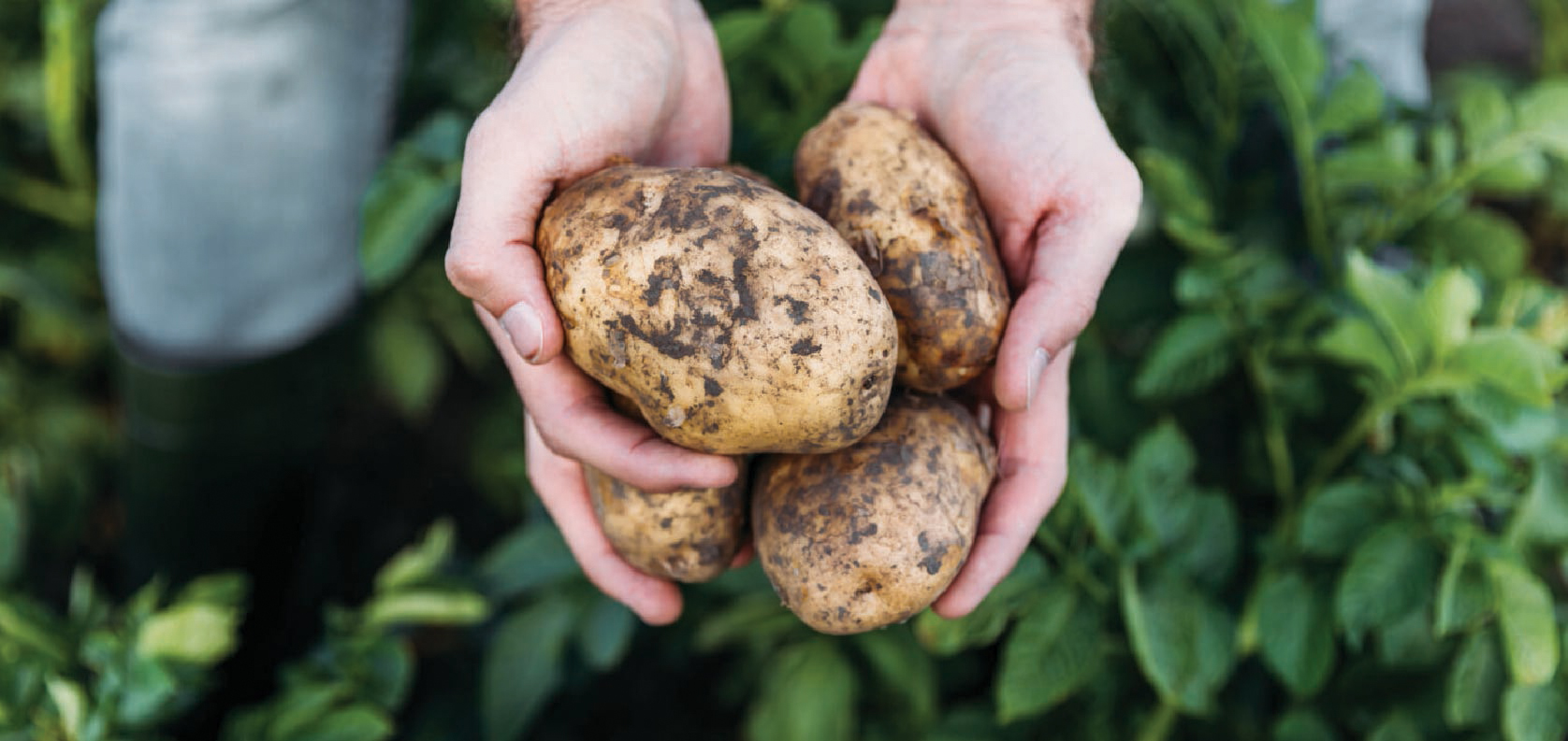 one-health-tile-5-min