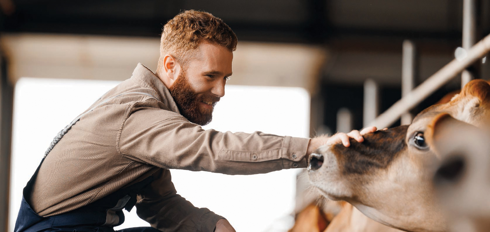 one-health-tiles-03-min