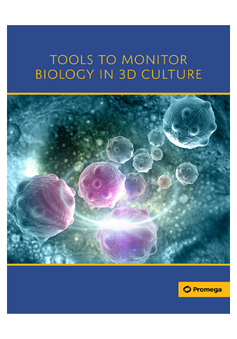 monitor-biology-in-3d-culture-web-broschuere