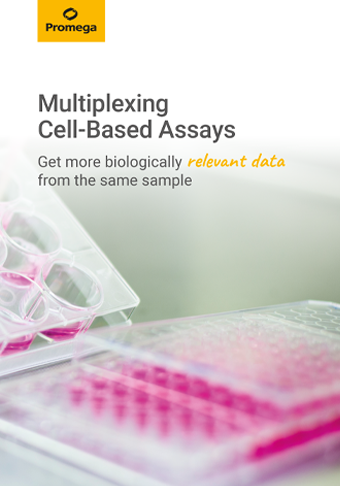 webpage-multiplexing-broschuere