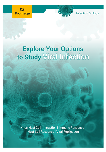 infection-boilogy-web-broschuere2023