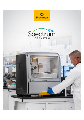 spectrum-web-broschuere