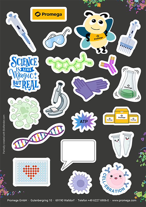 2024-doktorhut-aufkleber-