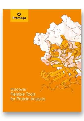 en-image-discover-reliable