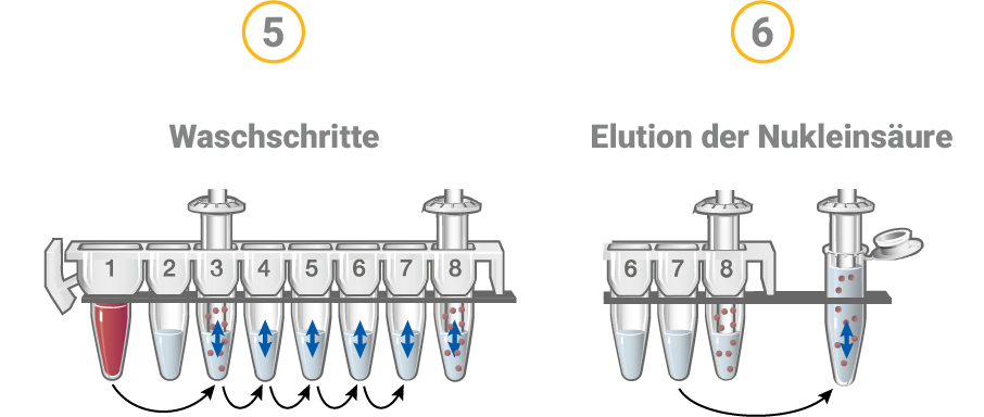 de-dna-extraction-3