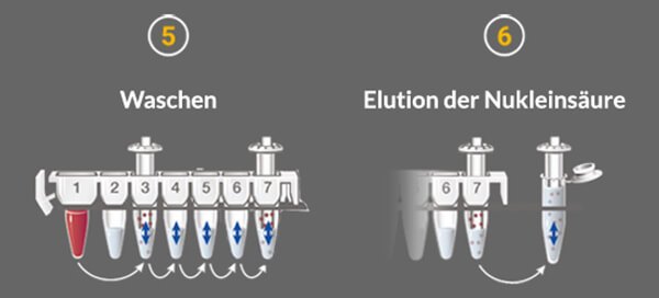 de-190618-maxwell-csc-process-step3