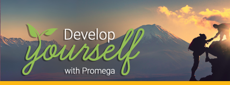 2024-de-dys-linking-banner-475x175