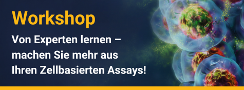 2024-de-workshop-promotion-linking-banner-475x175px