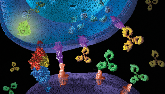 29066886-pd-1-pd-l1-immune-checkpoint-3d-box