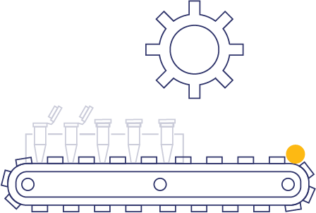 Viles traveling on belt