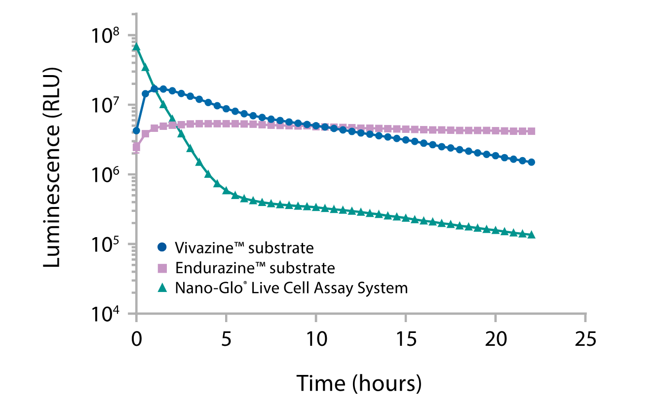 Choose the best combination of signal intensity and stability by comparing Nano-Glo® Endurazine™ and Nano-Glo® Vivazine® Substrates with Nano-Glo® Live Cell Assay System. 