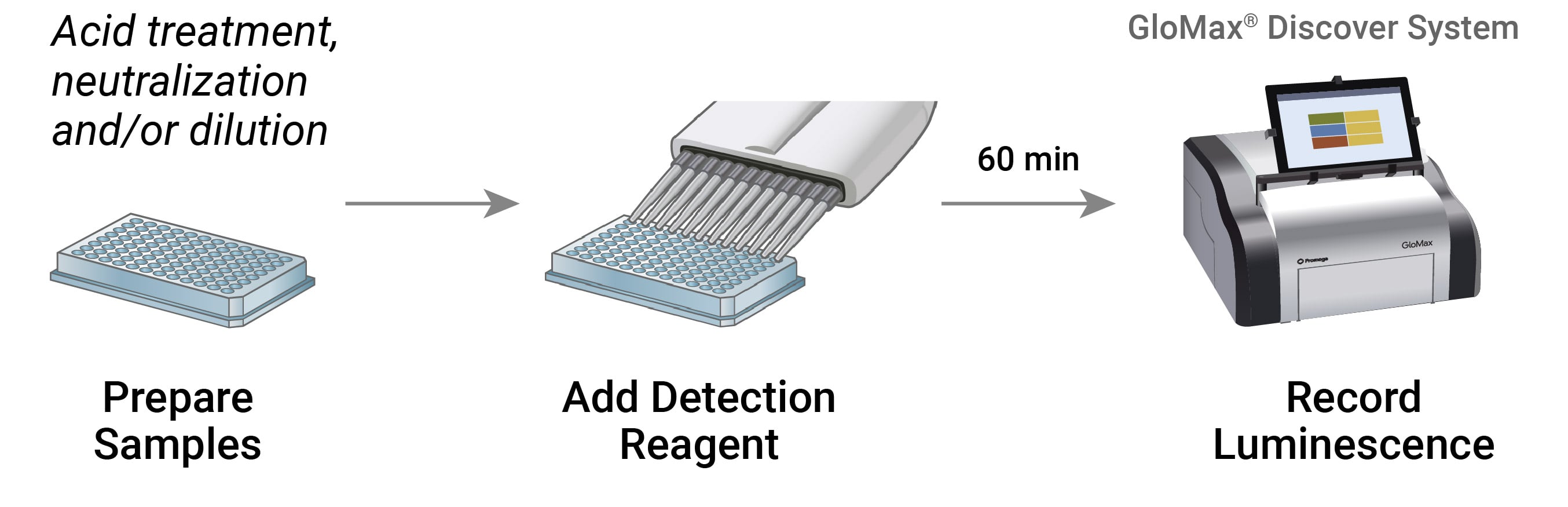 Workflow of cellular metabolism assays