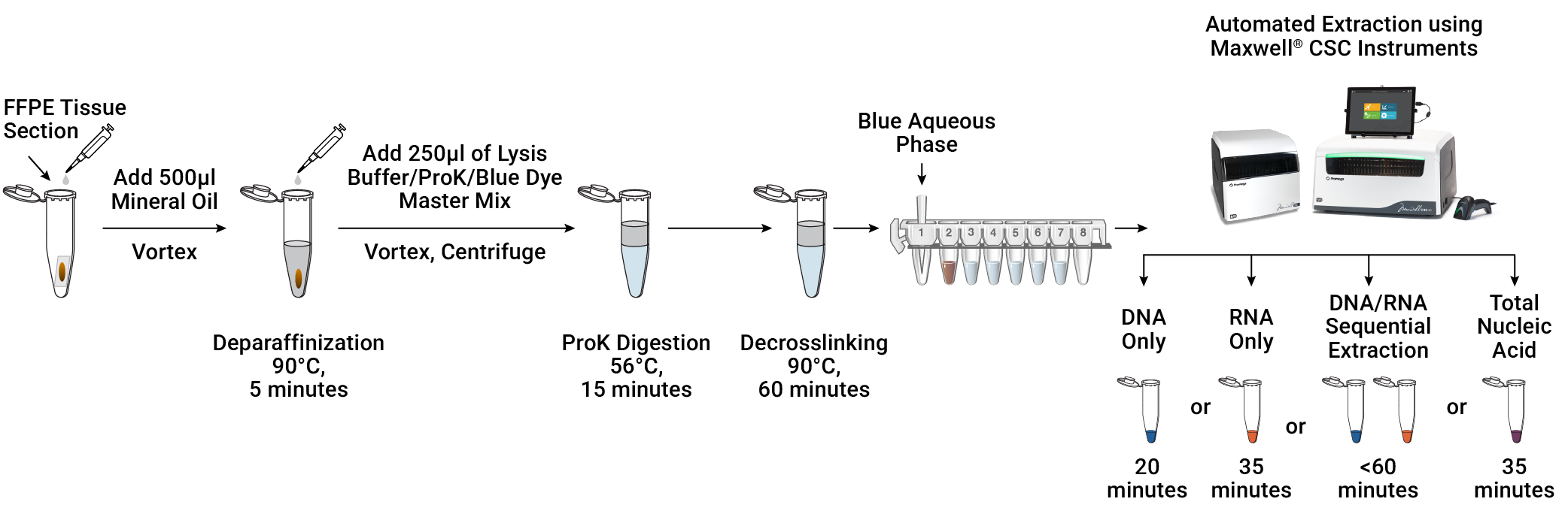 Illustration depicting the Maxwell® CSC XtractAll FFPE DNA/RNA Kit workflows.
