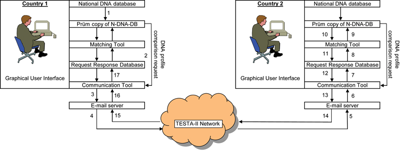 Steps in the automated flow of information.