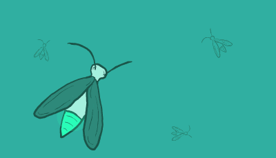 A firefly stretches its wings and glows 