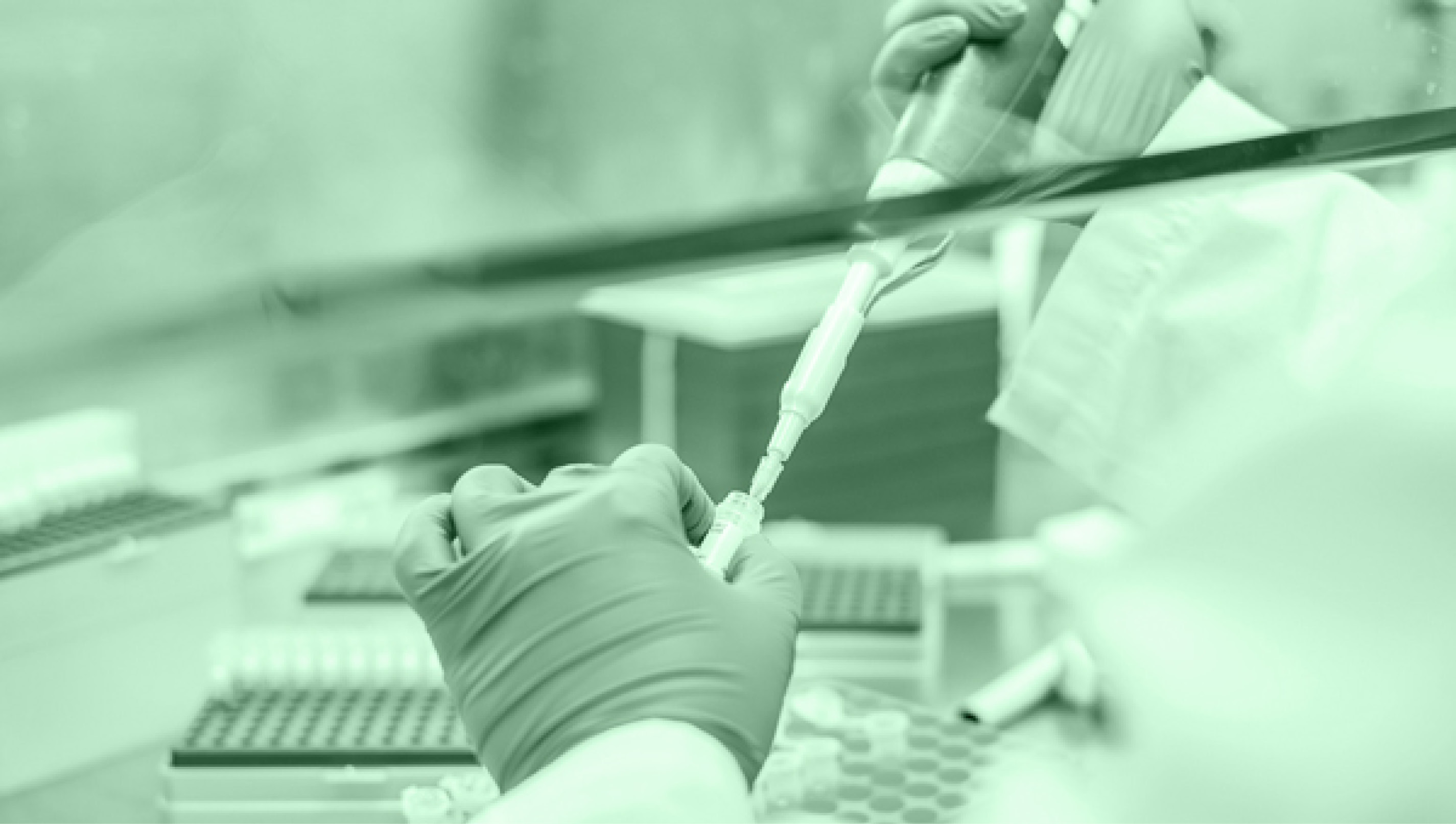A researcher pipettes a liquid into a test tube